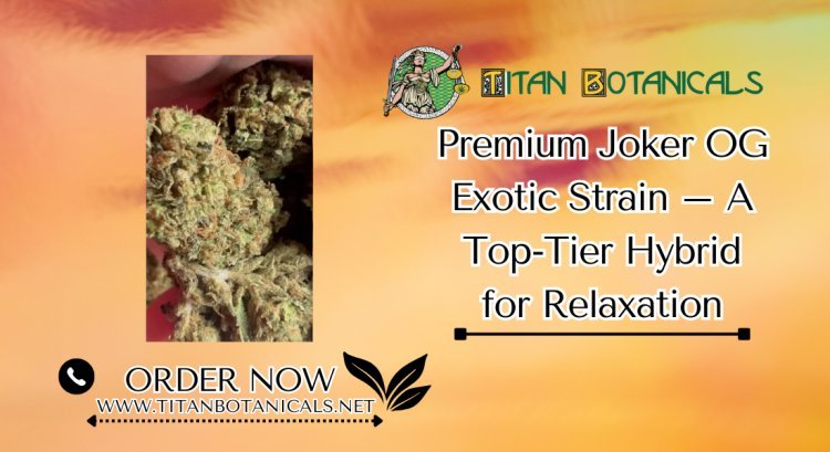 Premium Joker OG Exotic Strain – A Top-Tier Hybrid for Relaxation