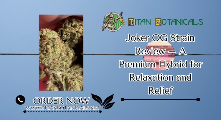 Joker OG Strain Review – A Premium Hybrid for Relaxation and Relief