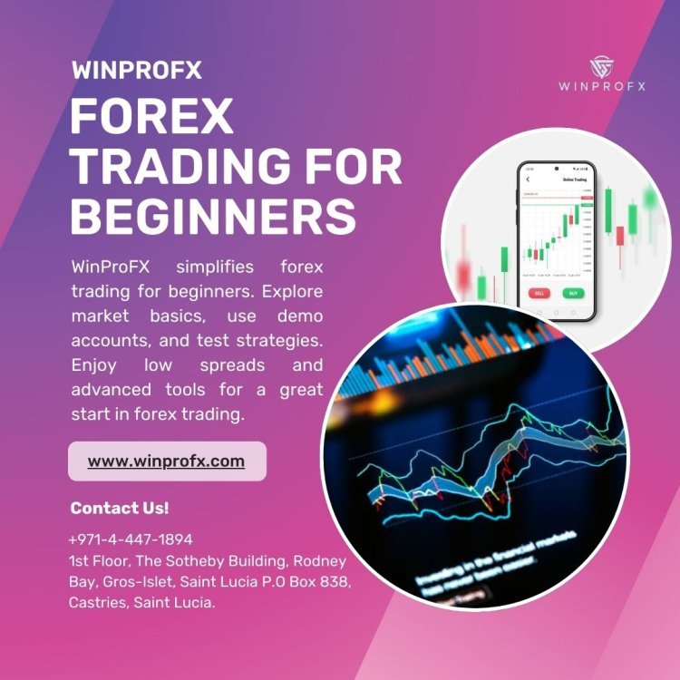 How Do Beginners Understand Forex Liquidity and Its Impact on Trading on WinProFx?