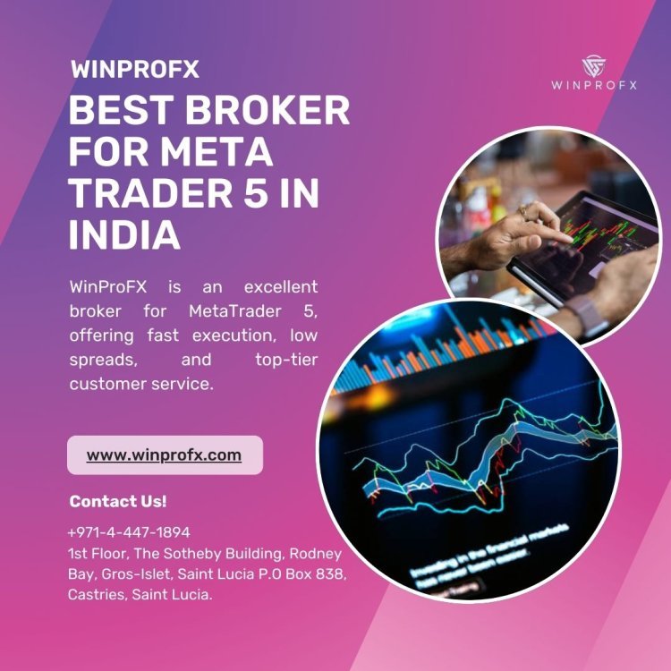 What Are the Best MetaTrader 5 Brokers for WinProFx Traders in 2025?