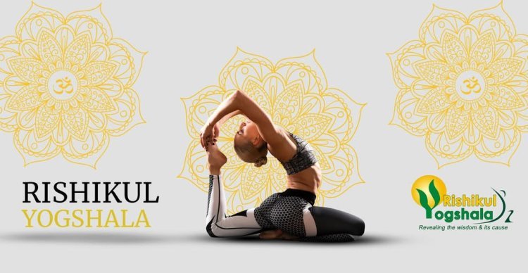 Transform Your Practice: 200 Hour Yoga Teacher Training in India