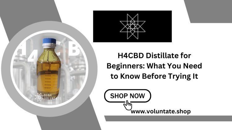 H4CBD Distillate for Beginners: What You Need to Know Before