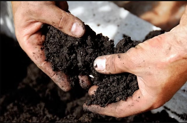 Soil Testing Lab in Delhi