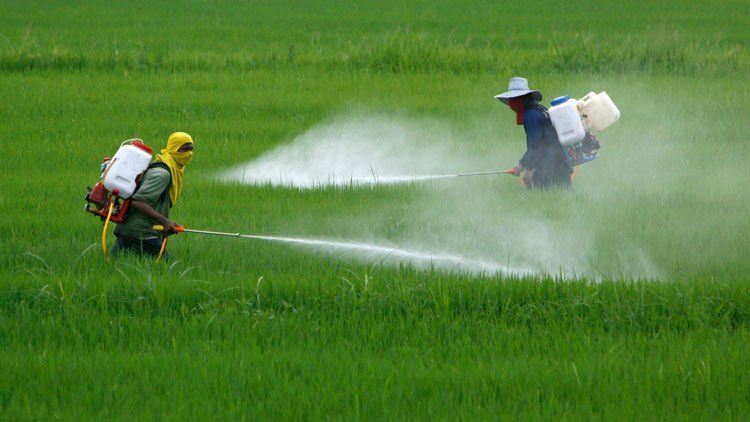 A new perspective on 4 pesticides, uses: Get details