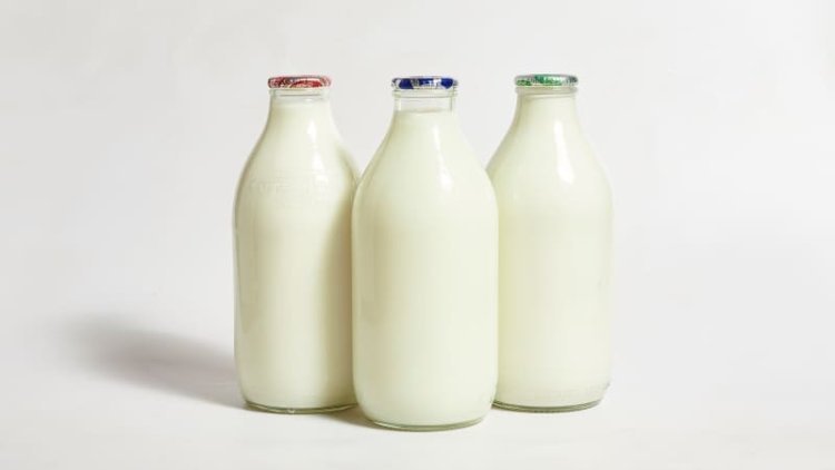 8 Key Factors to Establish a Successful UHT Milk Plant: Raw Materials Requirement