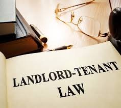 What Are the Legal Steps for Evicting a Tenant Engaged in Criminal Activity