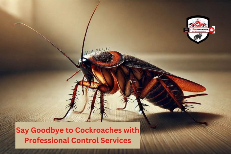 Say Goodbye to Cockroaches with Professional Control Services