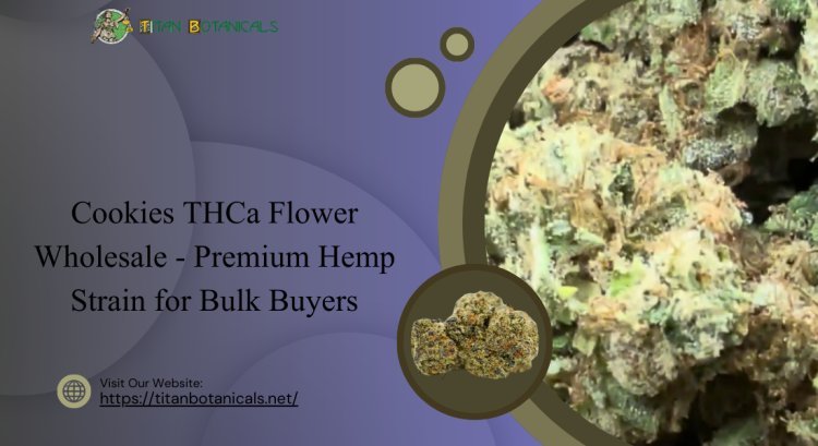 Cookies THCa Flower Wholesale - Premium Hemp Strain for Bulk Buyers