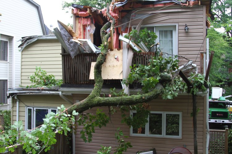 Why You Need a Professional Crane Service Company in CT for Heavy Lifting & Tree Removal