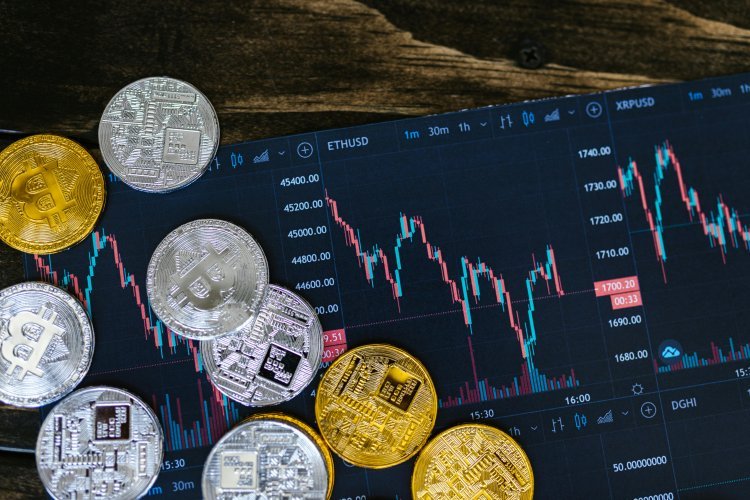 Crypto Bull Run 2025: Is This the Next Big Boom?